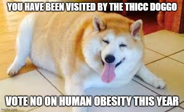 Thicc Doggo | YOU HAVE BEEN VISITED BY THE THICC DOGGO; VOTE NO ON HUMAN OBESITY THIS YEAR | image tagged in thicc doggo | made w/ Imgflip meme maker