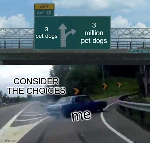 Left Exit 12 Off Ramp Meme | 3 pet dogs; 3 million pet dogs; CONSIDER THE CHOICES; me | image tagged in memes,left exit 12 off ramp | made w/ Imgflip meme maker