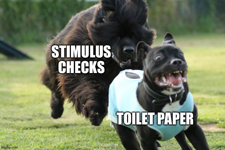 Dog chase | STIMULUS CHECKS TOILET PAPER | image tagged in dog chase | made w/ Imgflip meme maker