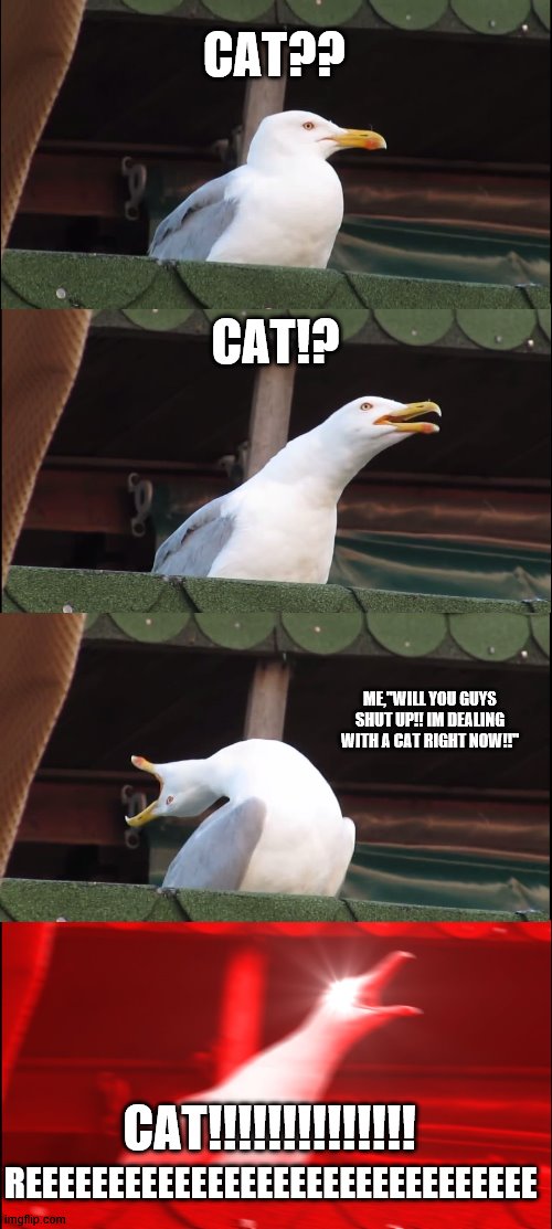 Inhaling Seagull | CAT?? CAT!? ME,"WILL YOU GUYS SHUT UP!! IM DEALING WITH A CAT RIGHT NOW!!"; CAT!!!!!!!!!!!!!! REEEEEEEEEEEEEEEEEEEEEEEEEEEEEEE | image tagged in memes,inhaling seagull | made w/ Imgflip meme maker