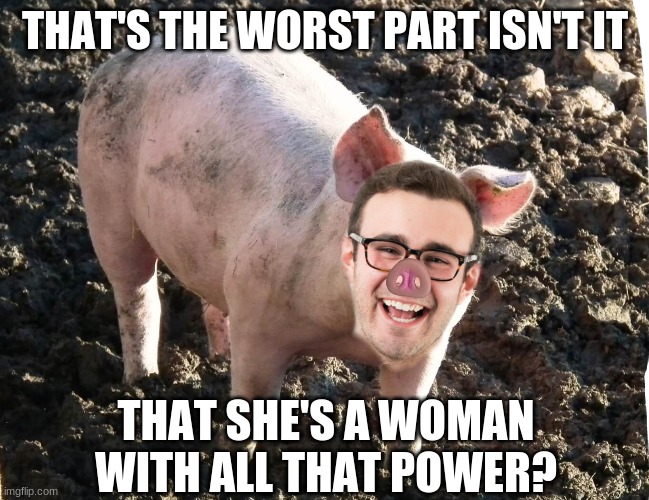 Sexist man pig | THAT'S THE WORST PART ISN'T IT THAT SHE'S A WOMAN WITH ALL THAT POWER? | image tagged in sexist man pig | made w/ Imgflip meme maker
