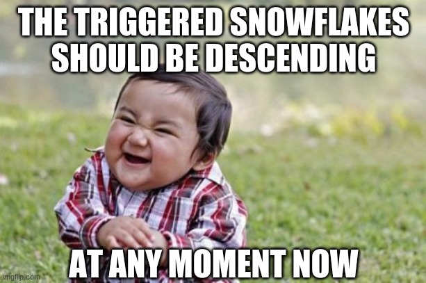 Evil Toddler Meme | THE TRIGGERED SNOWFLAKES SHOULD BE DESCENDING AT ANY MOMENT NOW | image tagged in memes,evil toddler | made w/ Imgflip meme maker