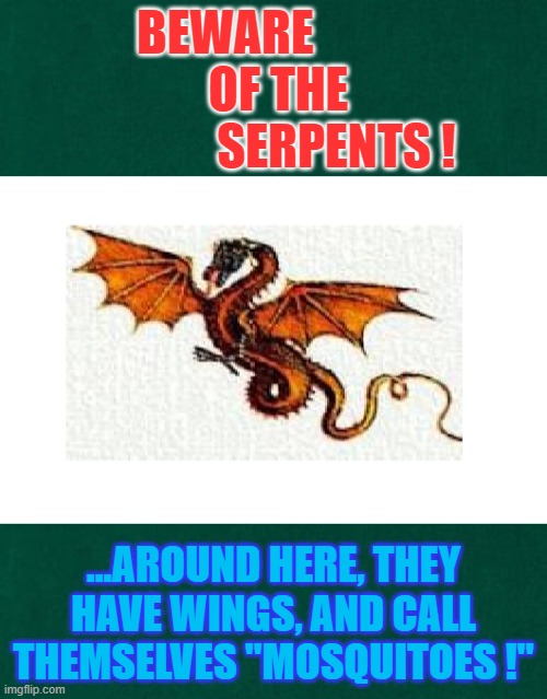 Serpents | BEWARE                  OF THE                    SERPENTS ! ...AROUND HERE, THEY HAVE WINGS, AND CALL THEMSELVES "MOSQUITOES !" | image tagged in movie humor,humor,insects,pests | made w/ Imgflip meme maker