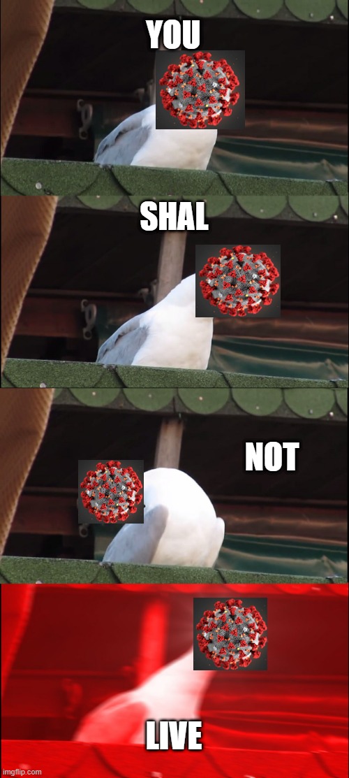 Inhaling Seagull | YOU; SHAL; NOT; LIVE | image tagged in memes,inhaling seagull | made w/ Imgflip meme maker