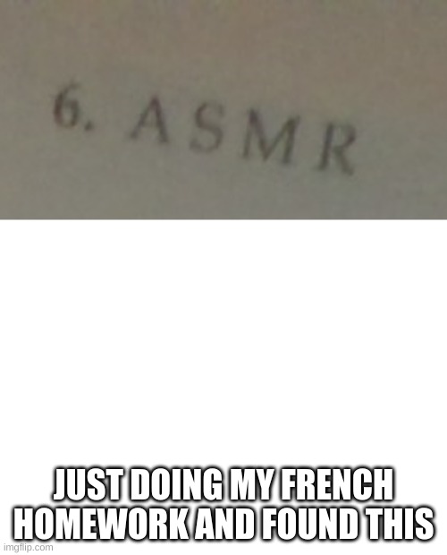 JUST DOING MY FRENCH HOMEWORK AND FOUND THIS | image tagged in blank white template | made w/ Imgflip meme maker