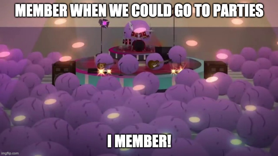 MEMBER WHEN WE COULD GO TO PARTIES; I MEMBER! | image tagged in funny memes | made w/ Imgflip meme maker