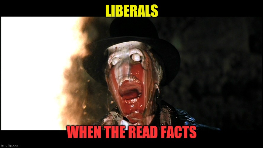 Indiana Jones Face Melt | LIBERALS WHEN THE READ FACTS | image tagged in indiana jones face melt | made w/ Imgflip meme maker