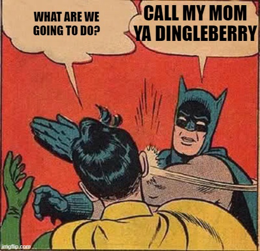 Batman Slapping Robin | CALL MY MOM YA DINGLEBERRY; WHAT ARE WE GOING TO DO? | image tagged in memes,batman slapping robin | made w/ Imgflip meme maker