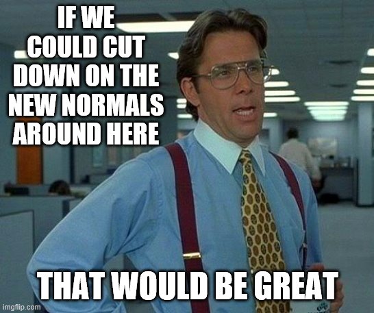 That Would Be Great | IF WE COULD CUT DOWN ON THE NEW NORMALS AROUND HERE; THAT WOULD BE GREAT | image tagged in memes,that would be great | made w/ Imgflip meme maker