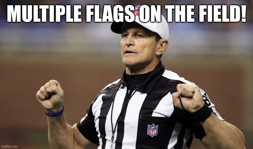 3 logical fallacies in 2 sentences? It’s possible! | MULTIPLE FLAGS ON THE FIELD! | image tagged in logical fallacy referee,illogical,logic,conservative logic,imgflip trolls,trolling the troll | made w/ Imgflip meme maker