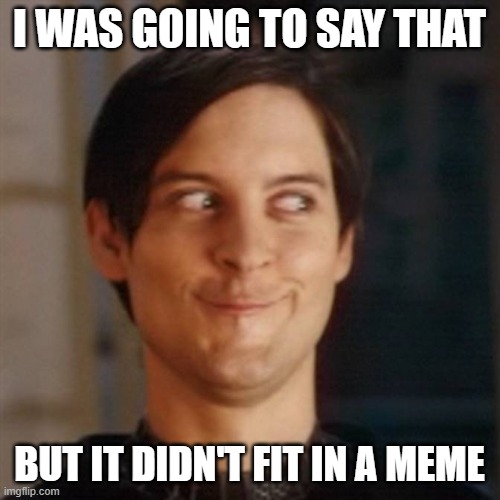Hehe | I WAS GOING TO SAY THAT BUT IT DIDN'T FIT IN A MEME | image tagged in hehe | made w/ Imgflip meme maker