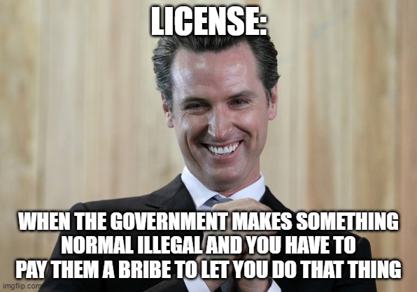 Scheming Gavin Newsom  | LICENSE: WHEN THE GOVERNMENT MAKES SOMETHING NORMAL ILLEGAL AND YOU HAVE TO PAY THEM A BRIBE TO LET YOU DO THAT THING | image tagged in scheming gavin newsom | made w/ Imgflip meme maker
