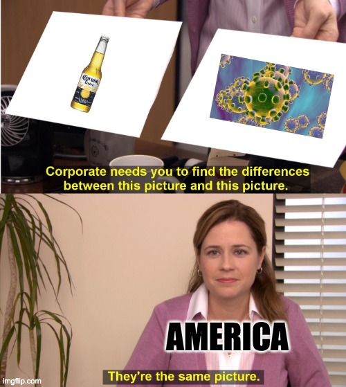 They're The Same Picture | AMERICA | image tagged in memes,they're the same picture | made w/ Imgflip meme maker