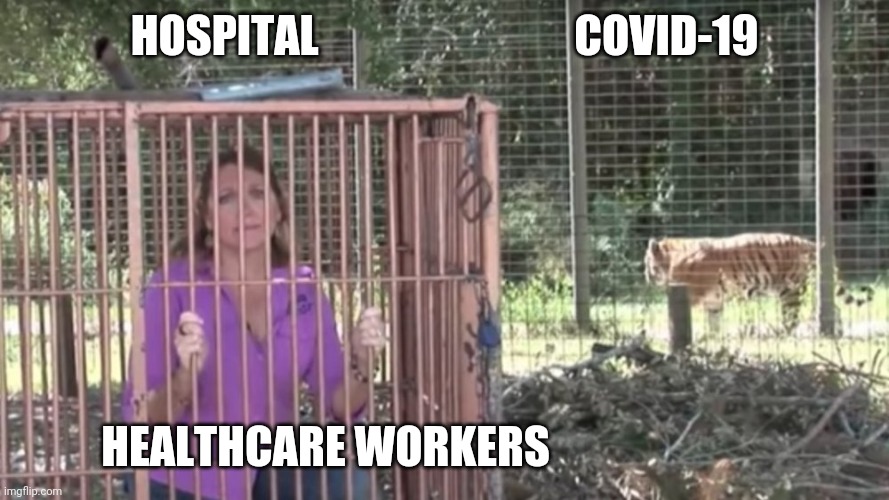 Carole Baskin Caged | HOSPITAL                             COVID-19; HEALTHCARE WORKERS | image tagged in carole baskin caged | made w/ Imgflip meme maker