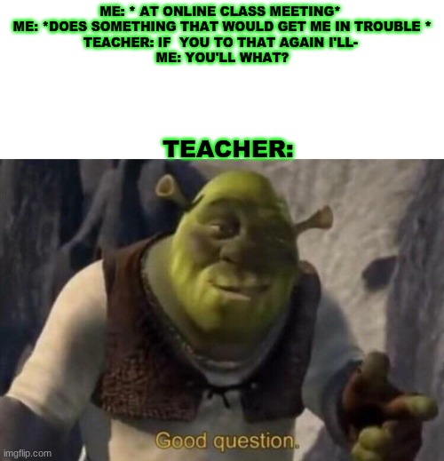 ME: * AT ONLINE CLASS MEETING* 
ME: *DOES SOMETHING THAT WOULD GET ME IN TROUBLE *
TEACHER: IF  YOU TO THAT AGAIN I'LL- 
ME: YOU'LL WHAT? TEACHER: | image tagged in blank white template,shrek good question | made w/ Imgflip meme maker