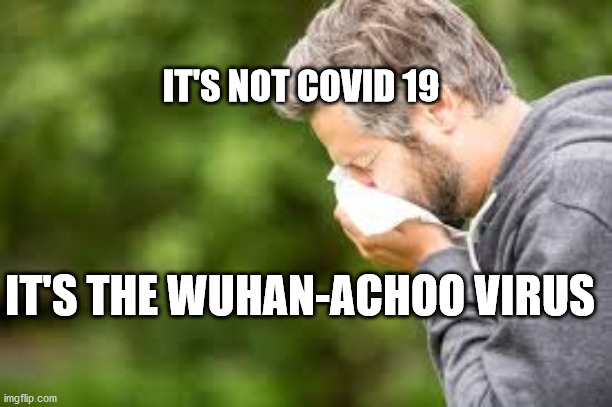 Wuhan-Achoo Virus | IT'S NOT COVID 19; IT'S THE WUHAN-ACHOO VIRUS | image tagged in covid-19 | made w/ Imgflip meme maker