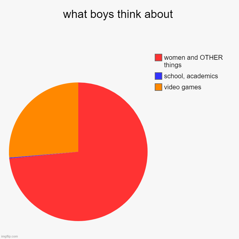 what boys think about | video games, school, academics, women and OTHER things | image tagged in charts,pie charts | made w/ Imgflip chart maker