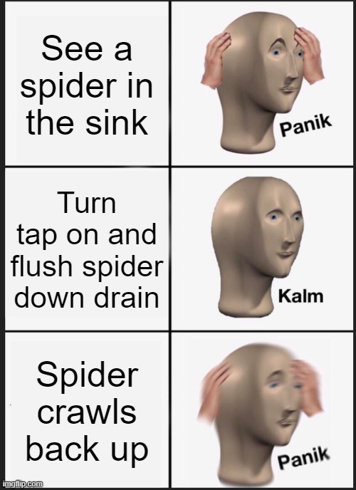 Panik Kalm Panik | See a spider in the sink; Turn tap on and flush spider down drain; Spider crawls back up | image tagged in memes,panik kalm panik | made w/ Imgflip meme maker