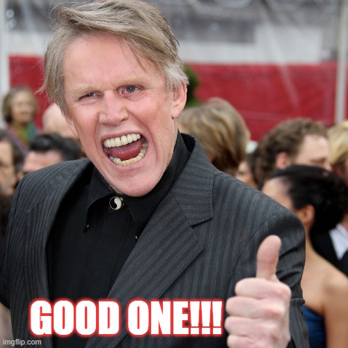 Gary Busey | GOOD ONE!!! | image tagged in gary busey | made w/ Imgflip meme maker