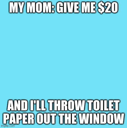blue template | MY MOM: GIVE ME $20; AND I'LL THROW TOILET PAPER OUT THE WINDOW | image tagged in blue template | made w/ Imgflip meme maker