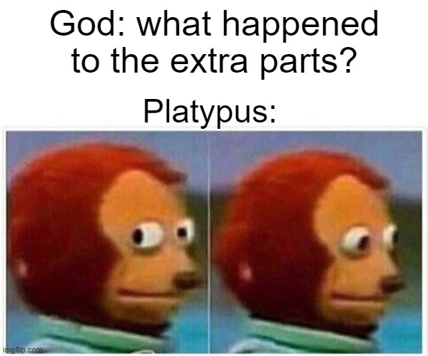 Monkey Puppet Meme | God: what happened to the extra parts? Platypus: | image tagged in memes,monkey puppet | made w/ Imgflip meme maker