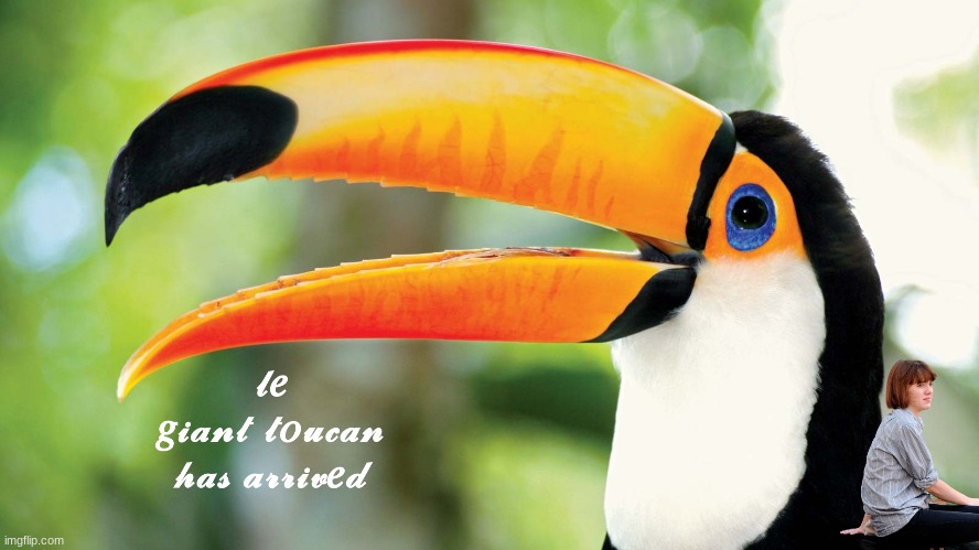 Le giant toucan | image tagged in le toucan,photoshop,meme,toucan | made w/ Imgflip meme maker