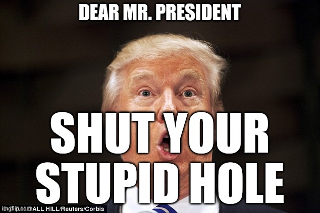 Trump stupid face | DEAR MR. PRESIDENT; SHUT YOUR STUPID HOLE | image tagged in trump stupid face | made w/ Imgflip meme maker