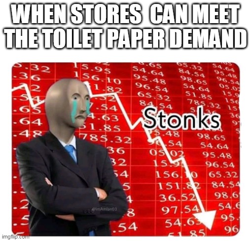 less stonks |  WHEN STORES  CAN MEET THE TOILET PAPER DEMAND | image tagged in memes | made w/ Imgflip meme maker