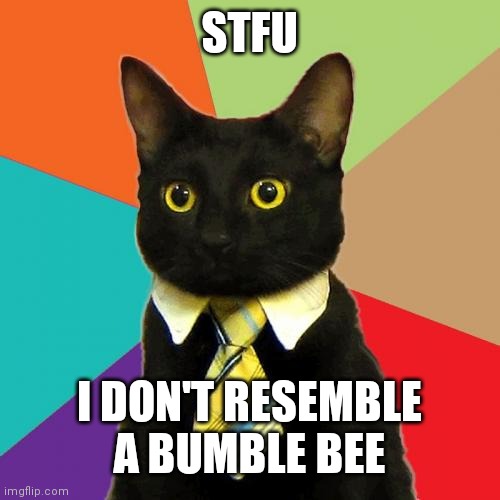 Business Cat Meme | STFU; I DON'T RESEMBLE A BUMBLE BEE | image tagged in memes,business cat | made w/ Imgflip meme maker