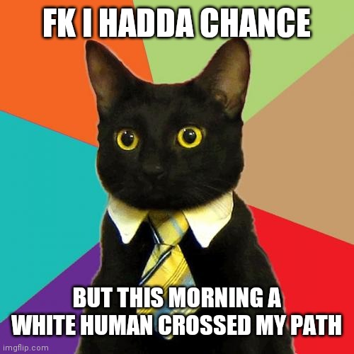 Business Cat Meme | FK I HADDA CHANCE; BUT THIS MORNING A WHITE HUMAN CROSSED MY PATH | image tagged in memes,business cat | made w/ Imgflip meme maker