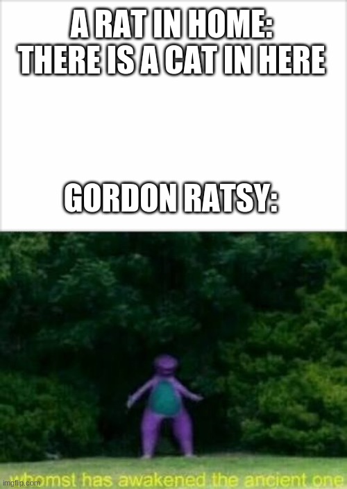 A RAT IN HOME: 
THERE IS A CAT IN HERE; GORDON RATSY: | image tagged in whomst has awakened the ancient one | made w/ Imgflip meme maker