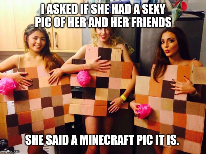Halloween Costume? XD | I ASKED IF SHE HAD A SEXY PIC OF HER AND HER FRIENDS; SHE SAID A MINECRAFT PIC IT IS. | image tagged in halloween costume xd | made w/ Imgflip meme maker