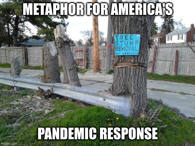 METAPHOR FOR AMERICA'S; PANDEMIC RESPONSE | image tagged in coronavirus,corona virus,pandemic,america | made w/ Imgflip meme maker