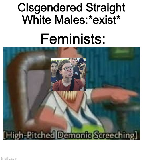 Cisgendered Straight White Males:*exist*; Feminists: | image tagged in blank white template | made w/ Imgflip meme maker