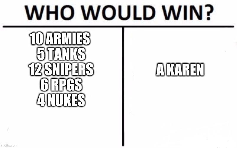 Who Would Win? | 10 ARMIES 
5 TANKS
12 SNIPERS
6 RPGS
4 NUKES; A KAREN | image tagged in memes,who would win | made w/ Imgflip meme maker