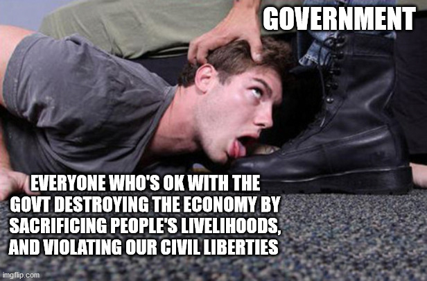 Those who would give up essential Liberty, to purchase a little temporary Safety, deserve neither | GOVERNMENT; EVERYONE WHO'S OK WITH THE GOVT DESTROYING THE ECONOMY BY SACRIFICING PEOPLE'S LIVELIHOODS, AND VIOLATING OUR CIVIL LIBERTIES | image tagged in bootlicker,coronavirus,covid-19,covid19,politics,memes | made w/ Imgflip meme maker