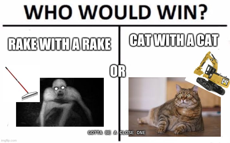 Who Would Win? Meme | CAT WITH A CAT; RAKE WITH A RAKE; OR; GOTTA BE A CLOSE ONE | image tagged in memes,who would win | made w/ Imgflip meme maker