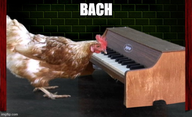 Piano Playing Chicken | BACH | image tagged in piano playing chicken | made w/ Imgflip meme maker