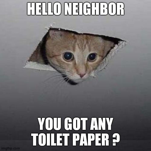 Ceiling Cat |  HELLO NEIGHBOR; YOU GOT ANY TOILET PAPER ? | image tagged in memes,ceiling cat | made w/ Imgflip meme maker
