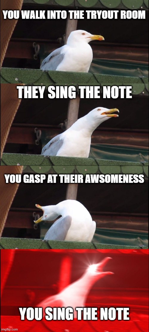 Inhaling Seagull | YOU WALK INTO THE TRYOUT ROOM; THEY SING THE NOTE; YOU GASP AT THEIR AWSOMENESS; YOU SING THE NOTE | image tagged in memes,inhaling seagull | made w/ Imgflip meme maker