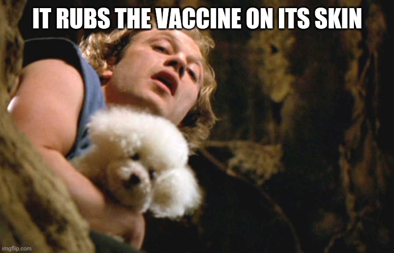 It rubs | IT RUBS THE VACCINE ON ITS SKIN | image tagged in it rubs | made w/ Imgflip meme maker
