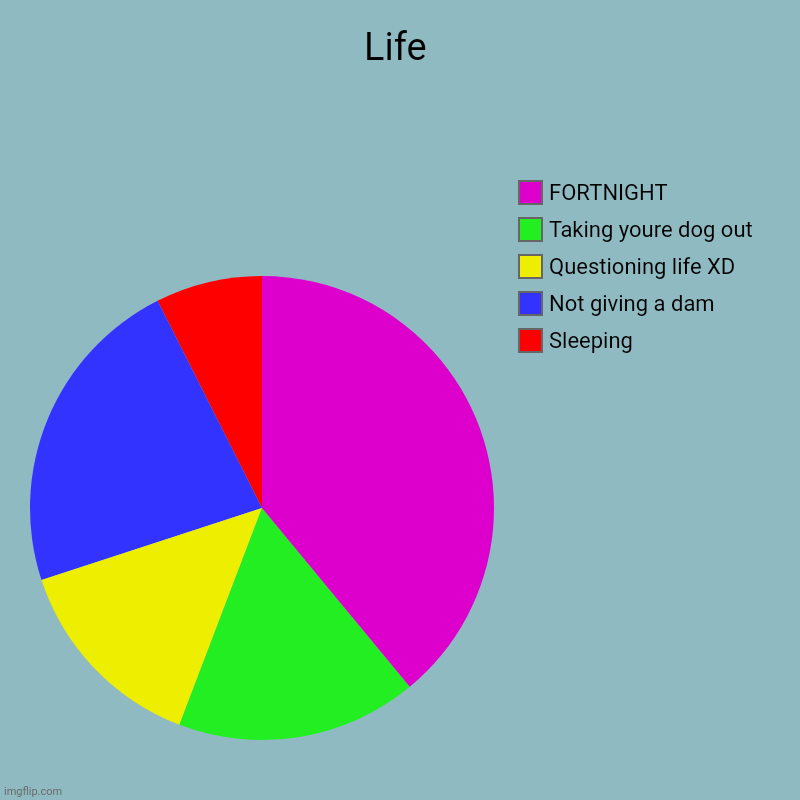 Life | Sleeping, Not giving a dam, Questioning life XD, Taking youre dog out, FORTNIGHT | image tagged in charts,pie charts | made w/ Imgflip chart maker