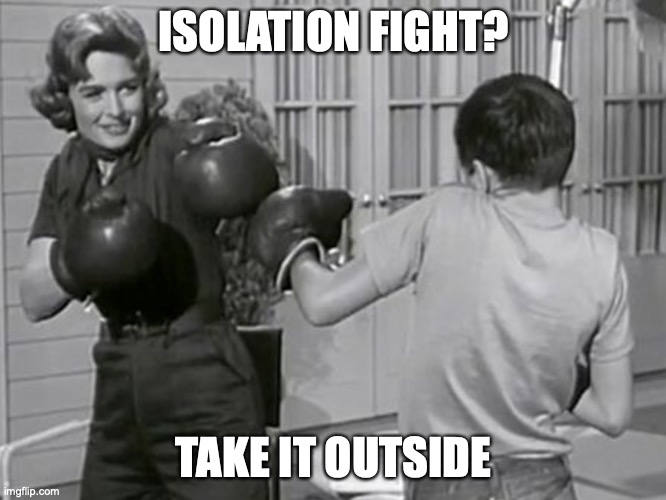 Take it outside | ISOLATION FIGHT? TAKE IT OUTSIDE | image tagged in donna reed,family fight,isolation,covid-19,take it outside,boxing | made w/ Imgflip meme maker