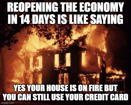 Burning House | REOPENING THE ECONOMY IN 14 DAYS IS LIKE SAYING YES YOUR HOUSE IS ON FIRE BUT YOU CAN STILL USE YOUR CREDIT CARD | image tagged in burning house | made w/ Imgflip meme maker