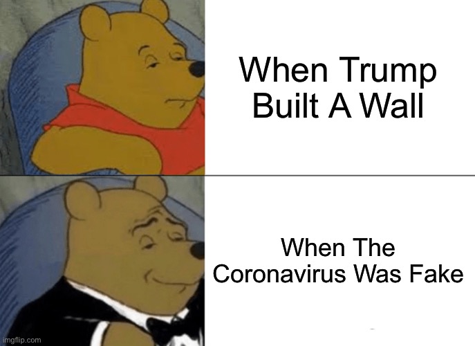 When You Think the Coronavirus was fake but when Trump build a wall it was real | When Trump Built A Wall; When The Coronavirus Was Fake | image tagged in memes,tuxedo winnie the pooh | made w/ Imgflip meme maker