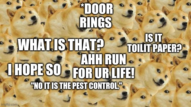 Multi Doge | *DOOR RINGS; WHAT IS THAT? IS IT  TOILIT PAPER? AHH RUN FOR UR LIFE! I HOPE SO; "NO IT IS THE PEST CONTROL." | image tagged in memes,multi doge | made w/ Imgflip meme maker