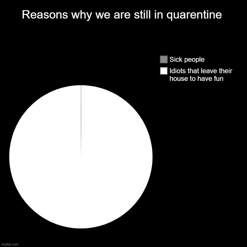 Reasons why we are still in quarentine | Idiots that leave their house to have fun, Sick people | image tagged in charts,pie charts | made w/ Imgflip chart maker
