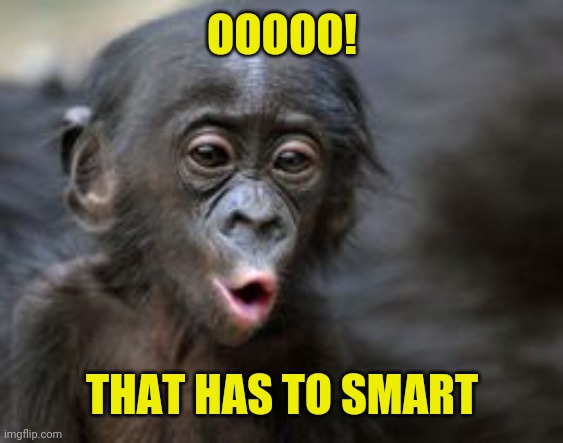Ooooh monkey  | OOOOO! THAT HAS TO SMART | image tagged in ooooh monkey | made w/ Imgflip meme maker