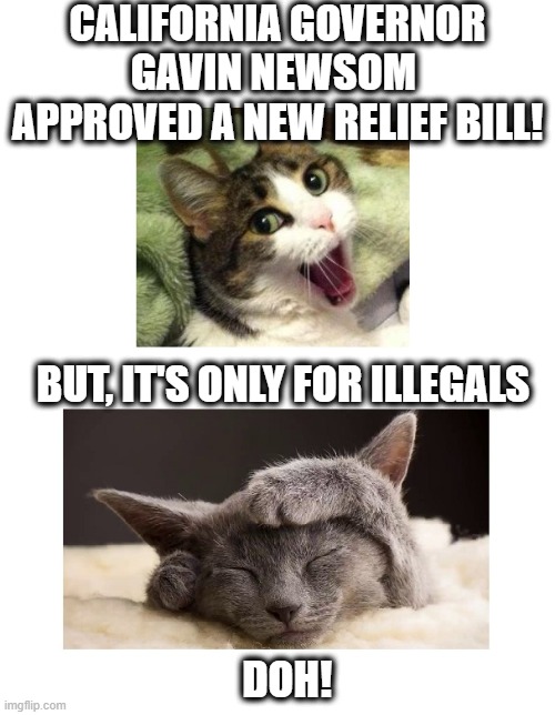 California Illegals Get Relief Ahead Of Citizens | CALIFORNIA GOVERNOR
GAVIN NEWSOM 
APPROVED A NEW RELIEF BILL! BUT, IT'S ONLY FOR ILLEGALS
 
 
 
 
 
 DOH! | image tagged in california,governor,newsom,relief,illegals | made w/ Imgflip meme maker