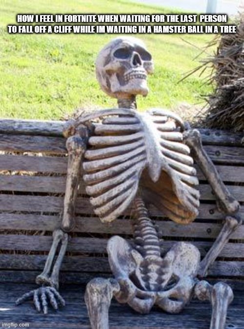 Waiting Skeleton | HOW I FEEL IN FORTNITE WHEN WAITING FOR THE LAST  PERSON TO FALL OFF A CLIFF WHILE IM WAITING IN A HAMSTER BALL IN A TREE | image tagged in memes,waiting skeleton | made w/ Imgflip meme maker